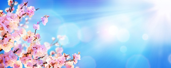 戰(zhàn)疫情，北京韋林公司全體員工齊心協(xié)力共克時艱！